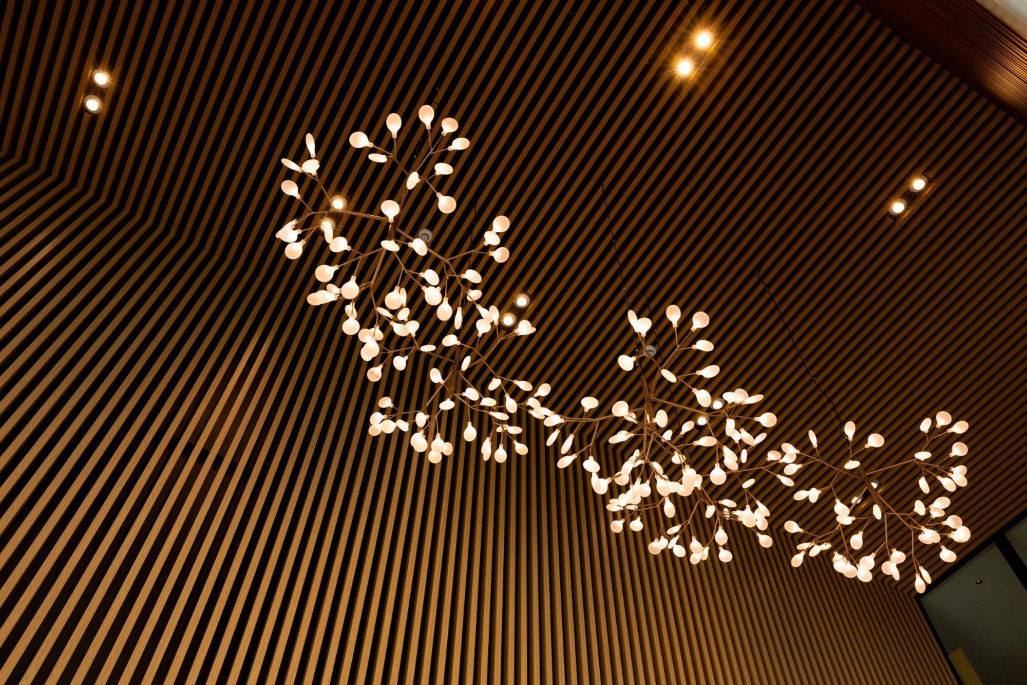 Maxim Hotel - Auckland Kültér fotó